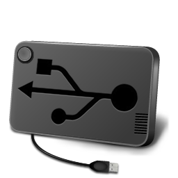 Portable Device Icon 256x256 png